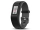vivosport LTCY [Slate]