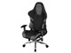 V RS-800RR-BK [�u���b�N]