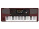 Pa1000 Professional Arranger