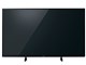 VIERA TH-55FX600 [55C`]