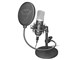 Trust Gaming GXT 252 EMITA STREAMING MICROPHONE 21753