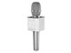 GP-BTDMIC/S [�V���o�[]