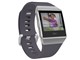 Fitbit Ionic FB503WTGY-CJK