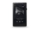 A&ultima SP1000 AK-SP1000-OB [256GB Onyx Black]