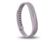 Fitbit Flex 2 FB403LV-JPN [���x���_�[]