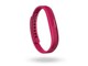 Fitbit Flex 2 FB403MG-JPN [�}�[���^]