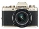 FUJIFILM X-T100 YLbg [VpS[h]