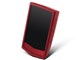 PV-LEATHER CASE [Burgundy red]