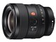 FE 24mm F1.4 GM SEL24F14GM