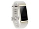 HUAWEI Band 3 Pro [S[h]