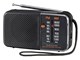 AudioComm RAD-H245N