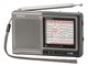 AudioComm RAD-H310N