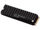 WD Black SN750 NVMe WDS500G3XHC