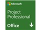 Project Professional 2019 ダウンロード版