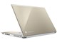 dynabook AZ25/GG PAZ25GG-SNJ 15.6�^HD Celeron 500GB_HDD Office�Ȃ� [�T�e���S�[���h]