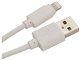 R20CAAL2A01WH [�z���C�g]