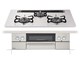 WITHNA PD-809WS-75CV 12A13A