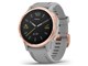 fenix 6S Sapphire 010-02159-73