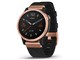 fenix 6S Sapphire 010-02159-8F