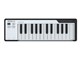 MICROLAB BK [ubN]