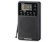 AudioComm RAD-P389Z
