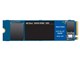 WD Blue SN550 NVMe WDS250G2B0C