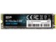 PCIe Gen3x4 P34A60 SP002TBP34A60M28
