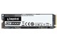 KC2000 NVMe PCIe SSD SKC2000M8/250G