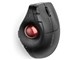 Pro Fit Ergo Vertical Wireless Trackball K75370JP