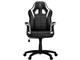 SM115 Gaming Chair SM115_BW [�u���b�N&�z���C�g]