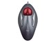 TrackMan Marble TM-150n