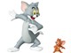 UDF TOM and JERRY [TOM and JERRY]