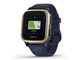 Venu Sq Music 010-02426-72 [Navy/Light Gold]