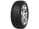 MINERVA F209 195/55R15 85H