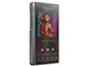 M11 Plus LTD FIO-M11PL-SS-LTD [64GB Stainless Steel]