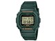 G-SHOCK DW-5600RB-3JF̐i摜