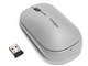 SureTrack Dual Wireless Mouse K75351JP [�O���[]