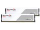 F5-5600J3636C16GX2-RS5W [DDR5 PC5-44800 16GB 2g]
