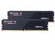 F5-5600U3636C16GX2-RS5K [DDR5 PC5-44800 16GB 2g]