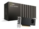 NVIDIA RTX A2000 12GB ENQRA2000-12GER [PCIExp 12GB]