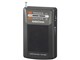 AudioComm RAD-H250N