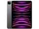 iPad Pro 11�C���` ��4���� Wi-Fi 1TB 2022�N�H���f�� MNXK3J/A [�X�y�[�X�O���C]