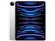 iPad Pro 12.9�C���` ��6���� Wi-Fi+Cellular 128GB 2022�N�H���f�� au [�V���o�[]