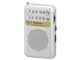 AudioComm RAD-P212S-S [Vo[]