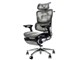 COFO Chair Premium FCC-XG [�O���[]