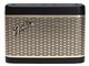 Fender Audio NEWPORT 2 [Black/Gold]