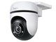Tapo C500