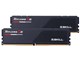 F5-5600J4040D48GX2-RS5K [DDR5 PC5-44800 48GB 2g]