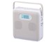 AudioComm RCR-600Z-H [CgO[]