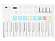 MiniLab 3 [Alpine White]